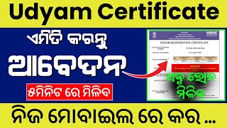 Udyam Registration 2024  Udyam Aadhar Registration  Udyam aadhar registration kaise kare [upl. by Ytsirc]