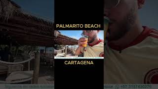 CARTAGENA  PALMARITO BEACH  TOUR IMPERDIBLE [upl. by Ainak]