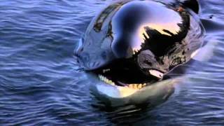 Michael Jackson  Will You Be There Free Willy [upl. by Rodrique412]