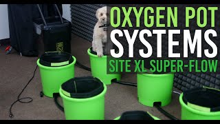 How to Setup OxygenPot System Ebb amp Flow [upl. by Errot]