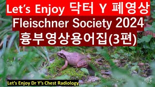 fleischner society glossary thoracic imaging 2024흉부영상용어집3편 2024흉부사진폐암사진흉부영상폐암진단닥터와이폐영상胸部X線 [upl. by Placeeda]