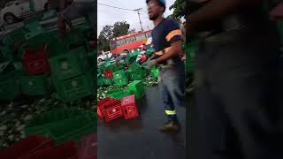 Patana cargada de cerveza Presidente sufre accidente y pierde toda la mercancía viral [upl. by Maximilien643]