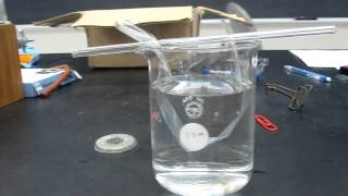 Lab Demo  Dialysis Tubing 001 [upl. by Nivak]