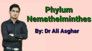 Phylum Nemathelminthes Round Worm in HindiUrdu [upl. by Shurlocke]