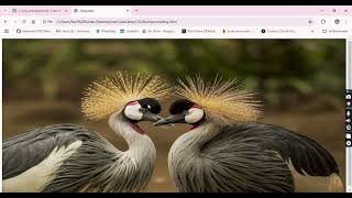 How to apply Background image in a HTML WebPage mernstack css html5 [upl. by Anastassia]