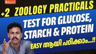 Plus Two Zoology Practicals  Test for Glucose Starch Protein  Eduport Plus Two [upl. by Adnohr]