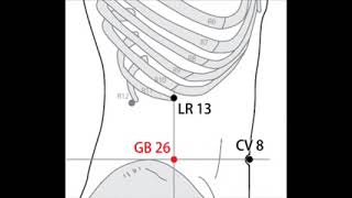 2 A Acupuncture 26 VB Dai Mai 带脉 point des leucorrhées et des dysménorrhées [upl. by Calandria56]