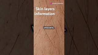 How much layer of skin do we have  Skin layers information [upl. by Balbinder]