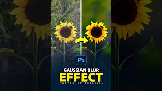 Photoshop Tutorial Create Stunning Gaussian Blur Effects [upl. by Edna176]