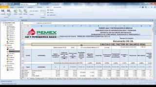 III Factor de salario real para PEMEX utilizando OPUS [upl. by Lashar]