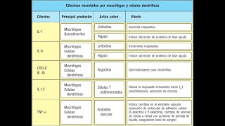 Mediadores solubles de la inflamación y reparación tisular [upl. by Sennahoj]