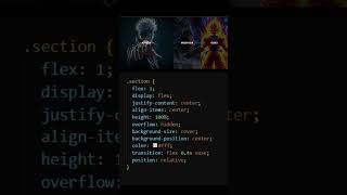 quotStylish Section Hover Animations with HTML amp CSSquot coding htmltutorial css html [upl. by Klemm961]