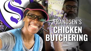 Frandsen’s Chicken Butchering  Straitway Helpmeets [upl. by Anilef]