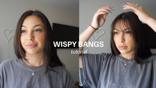 HOW I CUT WISPY BANGS AT HOME  Lauren Kubiske [upl. by Atlante761]