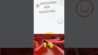 Cholesterol Explained What You Need to Know [upl. by Adniled]