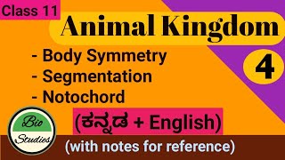 in Kannada Class 11  Animal Kingdom  Part 4  Body symmetry Segmentation and Notochord [upl. by Annaik]