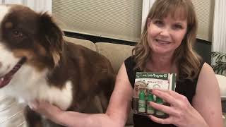 Best Flea amp Tick Solution for Dogs 444 lbs  Natural SpotOn Comparison [upl. by Nylrac751]