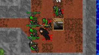 Tibia 75 A way to die in Orc Fortress [upl. by Yoo]