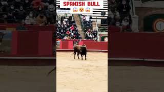 Toro Arena Valencia Spain toroarenavalencia valencia matador boğagüreşi spain ispanya [upl. by Nosloc]