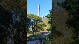 Autumn in Central Park New York centralparknewyork newyorkattractions newyorkpark [upl. by Kenelm59]