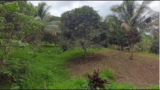 Prime Farm Lot for Sale Your Dream Agricultural Investment [upl. by Bigot]