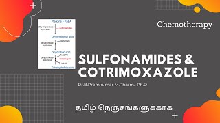 Sulfonamides and Cotrimoxazole  Antifolate drugsTamil [upl. by Isia]