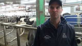 Aux petits soins pour ses vaches [upl. by Pozzy]