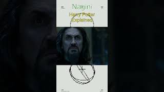 Horcrux Explained Nagini 🐍💀 [upl. by Berlinda]