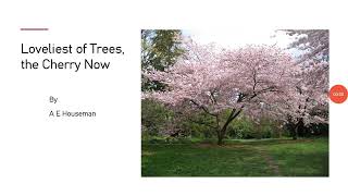 Loveliest of Trees the Cherry Now by A E Houseman from Book III [upl. by Leafar]