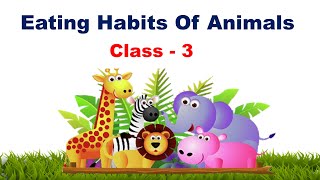 Eating habits of animals  ScienceHerbivores Carnivores Omnivores  Class 3  Animals Type  CBSE [upl. by Einnoj]