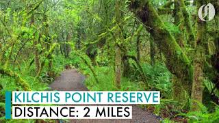 12 Tillamook County hikes [upl. by Woodall352]