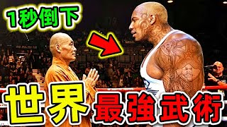 全世界最強的10種武術！中國功夫排名第幾？第一名堪稱“人類核彈”，卻是各國特種兵必修課。世界之最top 世界之最 出類拔萃 腦洞大開 top10 最強武術 [upl. by Ahseikram]