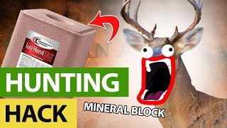 Never Buy A Mineral Block Again  Deer Season Hack [upl. by Trilly]