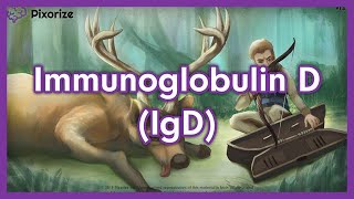 Immunoglobulin D IgD Mnemonic Preview for USMLE [upl. by Blader]