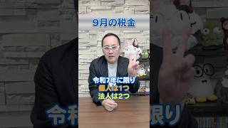 【9月の税金】令和6年2024年版 何があるか、ここで整理しましょう！ 所得税 予定納税 決算 [upl. by Braun]