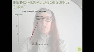 Labor Supply income and substitution effects [upl. by Naro]