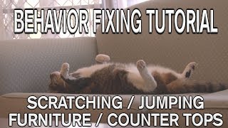 How to STOP scratching or jumping on furniture or counter tops [upl. by Ecnaralc]