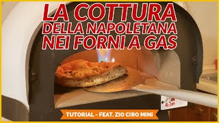 La COTTURA nel FORNO A GAS  La pizza napoletana [upl. by Lynnea921]