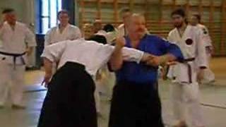 Sensei Helmut Weigelt Markaryd  Sweden 2008 1 [upl. by Adele]