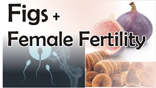 Figs Benefits For Female Fertility  Dry Figs for women  xmyhealth [upl. by Grose45]