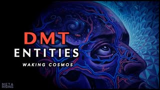 DMT Entities and Higher Dimensional States of Consciousness [upl. by Anilek902]