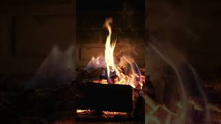 Relax to 4K Fireplace amp Smooth Jazz in Just Shorts [upl. by Alracal]