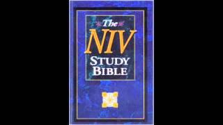 The Book of Proverbs NIV Audio Bible Non Dramatized [upl. by O'Donnell181]