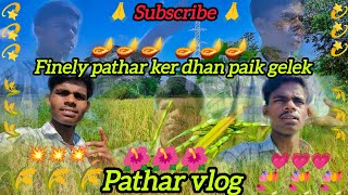 Finely hander pathar ker dhan paik gelek  subscribe 🙏🙏🙏 [upl. by Ahsemo]