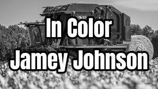 Jamey Johnson  In Color Lyrics [upl. by Lellih]