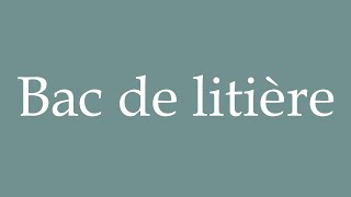 How to Pronounce Bac de litière Litter box Correctly in French [upl. by Lorne860]