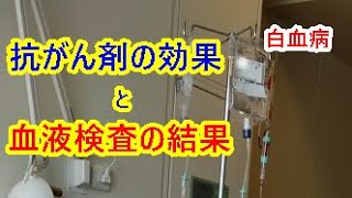 【白血病】抗がん剤の効果と血液検査の結果。データでわかります【闘病記】 [upl. by Woodall]