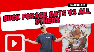 Buck Forage Oats vs All the Others [upl. by Nirtiak]