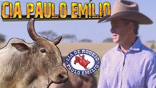 Especial Cia de Rodeio Paulo Emílio ║ Bipolar Agressivo Bandido 🐂 [upl. by Girardi835]