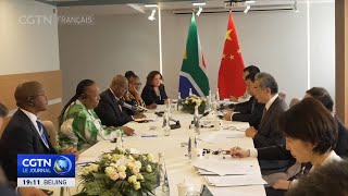 Les BRICS vus par la ministre sudafricaine des Relations internationales et de la Coopération [upl. by Acceber]